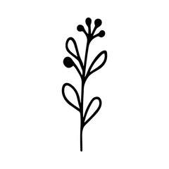 Simple Line Art Flower with Berries Twig Drawing Illustration Element