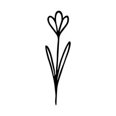 Simple Handdrawn Single Line Flower Bloom Botanical Element