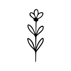 Minimalist Handdrawn Flower Stem with Leaves and Petals Illustration