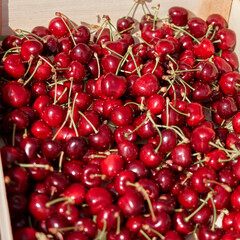 Fresh red sweet cherries in wooden crates prepared for sale on a market.