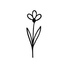 Minimalist Handdrawn Flower Simple Line Art Floral Botanical Illustration