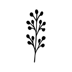 Minimalist Handdrawn Delicate Branch with Berries Botanical Element