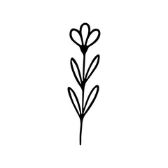 Simple Outline Handdrawn Flower Stem with Leaves Illustration Botanical