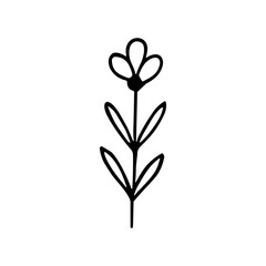 Handdrawn Simple Black and White Flower Plant Floral Icon Element