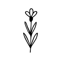 Simple Outline Handdrawn Floral Herb Flower Stem Decoration Element