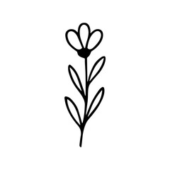 Simple Handdrawn Flower Blossom Outline Illustration Design Element Decoration