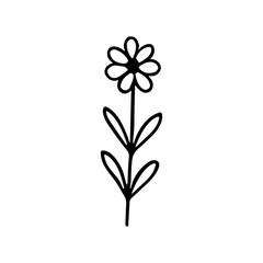 Simple Line Art Handdrawn Daisy Flower Plant Floral Illustration