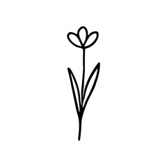 Simple Handdrawn Style Flower Blossom Plant Botanical Garden Illustration