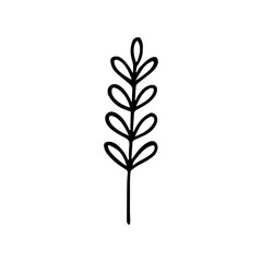 Simple Line Art Delicate Branch with Leaves Nature Illustration