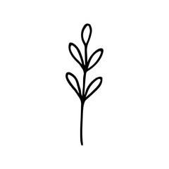 Simple Outline Handdrawn Branch Twig with Leaves Design Element