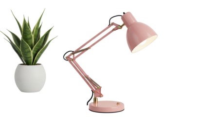 Isolated Pink Adjustable Desk Lamp next to Potted Snake Plant