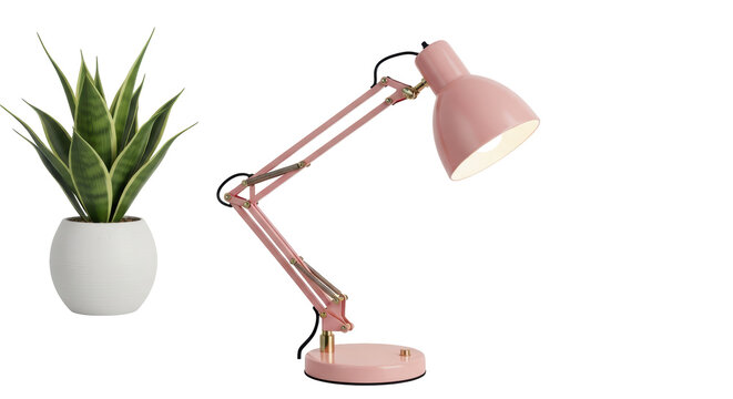 Isolated Pink Adjustable Desk Lamp next to Potted Snake Plant