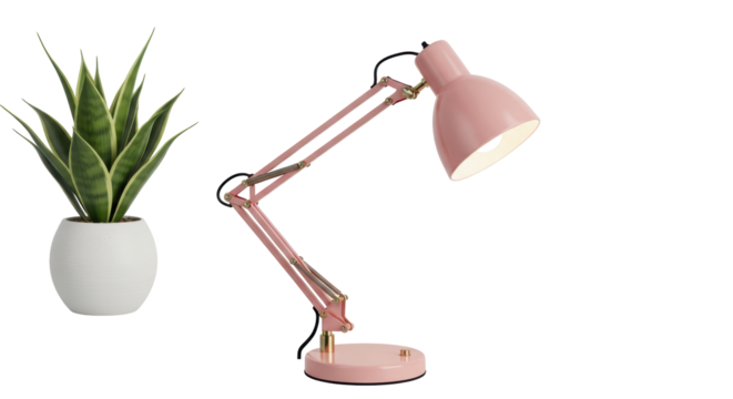 Isolated Pink Adjustable Desk Lamp next to Potted Snake Plant