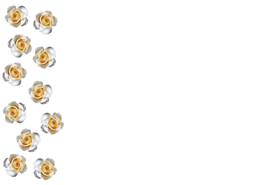 Fondo transparente con barra lateral de rosas blancas