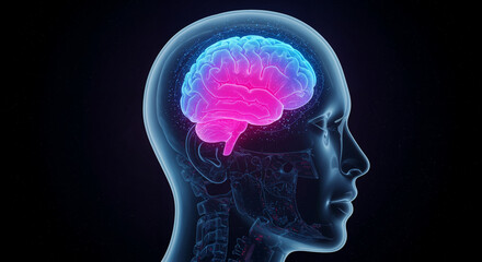 Glowing Digital Brain Representing Artificial Intelligence and Machine Learning. A digitally rendered brain split into symmetrical halves, one glowing orange and the other blue.
