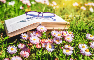 Open book and glasses on the grass among the blooming daisies
