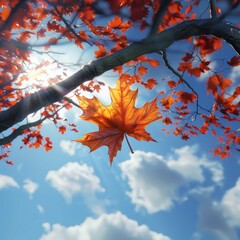 A single, vibrant orange and yellow maple leaf, still attached to its branch, is prominently featured against a bright blue sky with soft white clouds and sun rays peeking through, highlighting the be