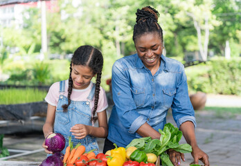 Black farmer mother and daughter checking vegetables or produce in basket and laughing happily in...