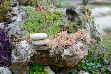 stones in the garden
