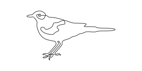 Continuous single line drawing birds. Minimalist bird, outline vector illustration isolated on white background. Minimalist design drawn. Pro vector