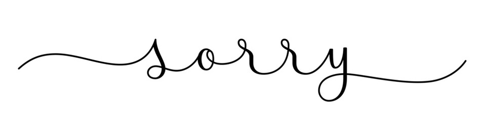 SORRY black vector brush calligraphy banner with swashes on white background