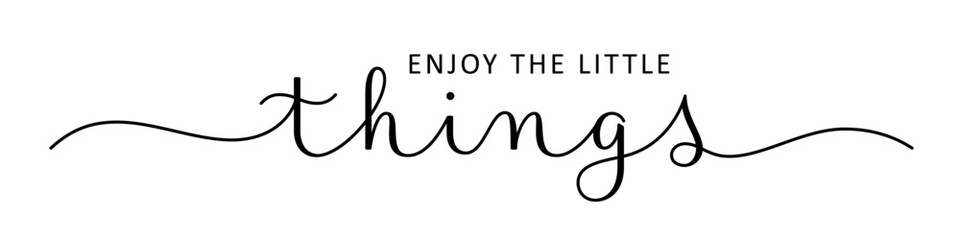 ENJOY THE LITTLE THINGS black vector brush calligraphy banner with swashes on white background
