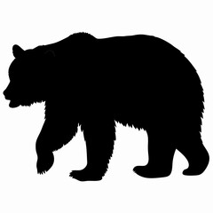 Silhouette of a Walking Bear Isolated on White Background
