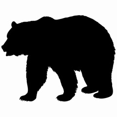 Silhouette of a Walking Bear Isolated on White Background
