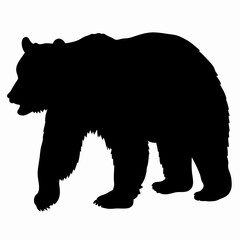 Silhouette of a Walking Bear Isolated on White Background
