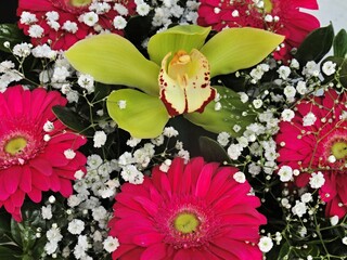 Vibrant bouquet featuring pink gerberas and a striking green cymbidium orchid