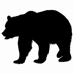 Silhouette of a Walking Bear Isolated on White Background

