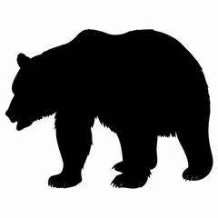 Silhouette of a Walking Bear Isolated on White Background
