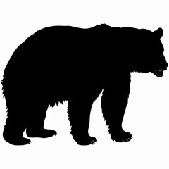 Silhouette of a Walking Bear Isolated on White Background
