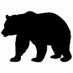 Silhouette of a Walking Bear Isolated on White Background
