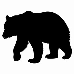 Silhouette of a Walking Bear Isolated on White Background
