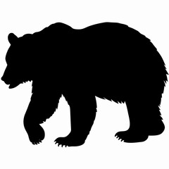 Silhouette of a Walking Bear Isolated on White Background
