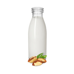 Nut milk in glass bottle and Brazil nuts isolated on white