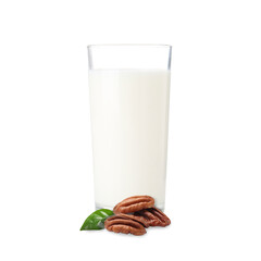 Nut milk in glass and pecans isolated on white