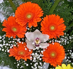 Vibrant orange gerbera daisies and white orchid forming a captivating bouquet