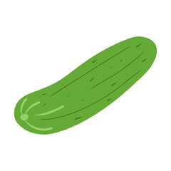 Cute cucumber illustration