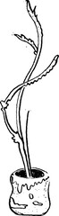 Hand-drawn linear plant vector illustration painting materials, potted flower sketches