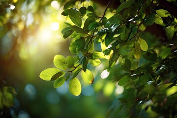 Beautiful foliage lit by soft natural sunshine
