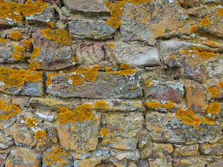 Moss-covered stone wall showcasing nature's beauty in a rustic setting