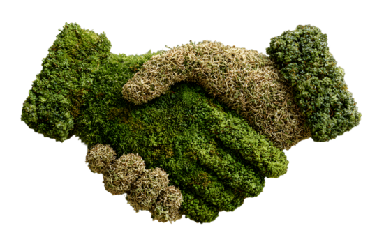 Green Deal. Handshake Symbolizing Success in Eco-Friendly Agreements