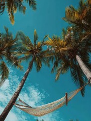 Relaxing Hammock Scene Under Sunny Skies