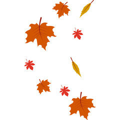 Autumn Leaves Falling