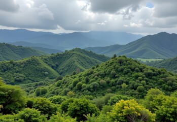 humidity fostering high biodiversity hotspots by supporting a wide range of plant species and ecological niches.