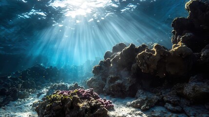 Sun Rays Penetrate Vibrant Coral Reef Underwater