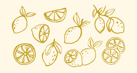 Lemon doodle fruit hand drawn vector illustrations set. Citrus, orange wedge, tropical lime with crayon texture.