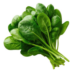 Fresh bunch of spinach leaves isolated on a transparent background